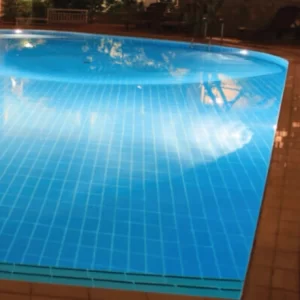 Thiết Bị Phụ Kiện Hồ Bơi Waterco Capture99 Png Tiết Kiệm Năng Lượng