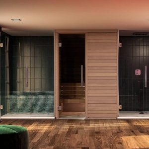 Cabin Xông Hơi Khô Heat Harmony 2 Người Gỗ Tống – hình 4