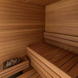 Cabin Xông Hơi Khô Relaxation Realm 2 Người Gỗ Hemlock Cabin Xông Hơi Khô Relaxation Realm 2 Người Gỗ Hemlock – hình 2