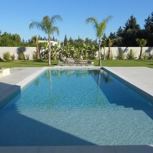 Gạch Mosaic Thủy Tinh Xanh Biển Tiết Kiệm Cho Hồ Bơi Ecotechpool img 02 12