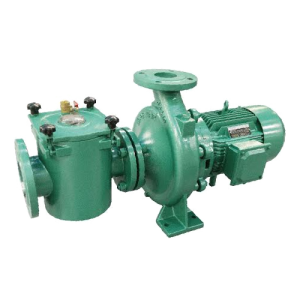 Máy bơm hồ bơi thương mại tiết kiệm điện Pentair EQ Series