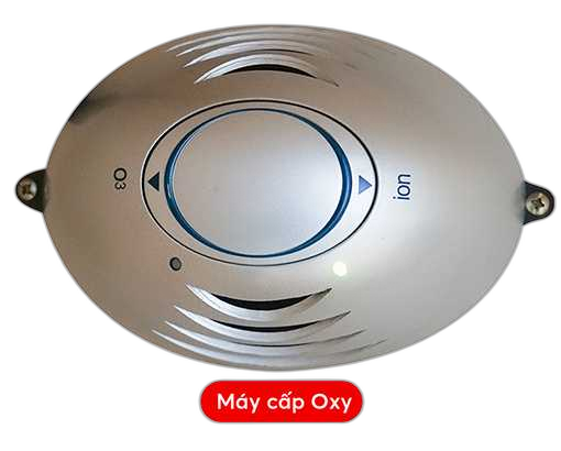 Máy Cấp Oxy Ion Hóa Thông Minh Cho Phòng Xông Hơi Tiết Kiệm Điện