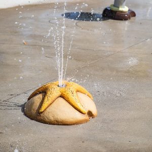 Vòm Phun Nước Hình Sao Biển Thông Minh Tiết Kiệm Năng Lượng vom be tong sao bien 02 biotechpool